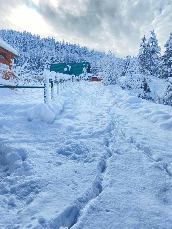 Vikendice Itana Villa Žabljak Exteriör bild