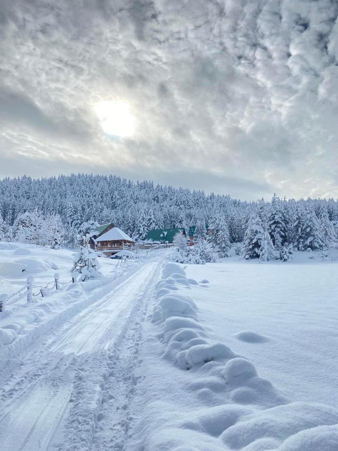 Vikendice Itana Villa Žabljak Exteriör bild