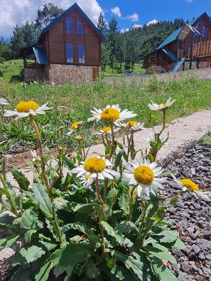 Vikendice Itana Villa Žabljak Exteriör bild